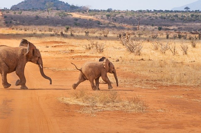 You are currently viewing L’essentiel pour des vacances de rêve en Afrique